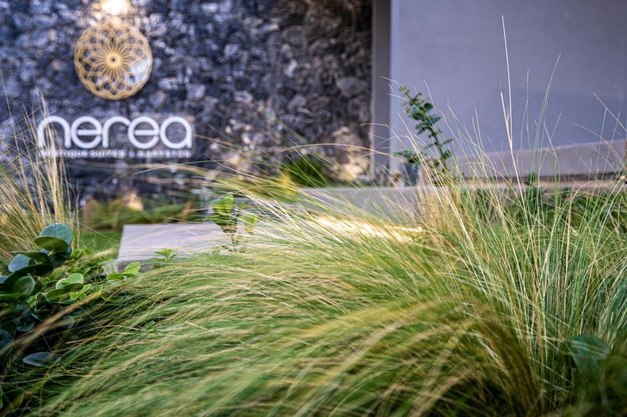 Nerea Boutique Suites Karystos Esterno foto